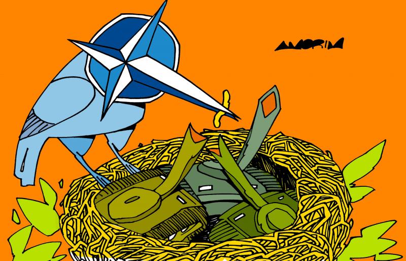 Nato feeds